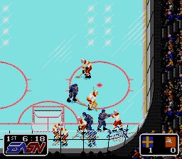 nhl91.jpg